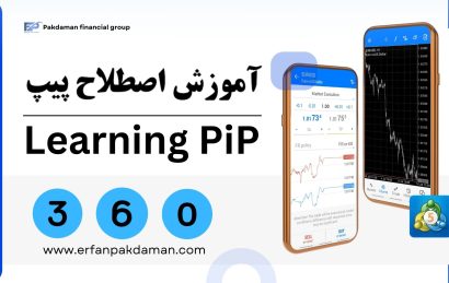 pip in forex