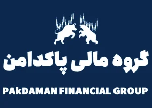 گروه مالی پاکدامن